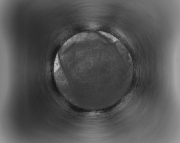 X0000096410366200802211230