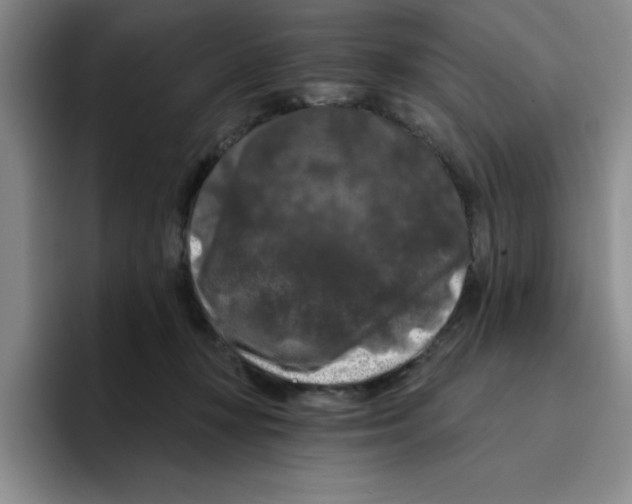 X0000096410367200802211230