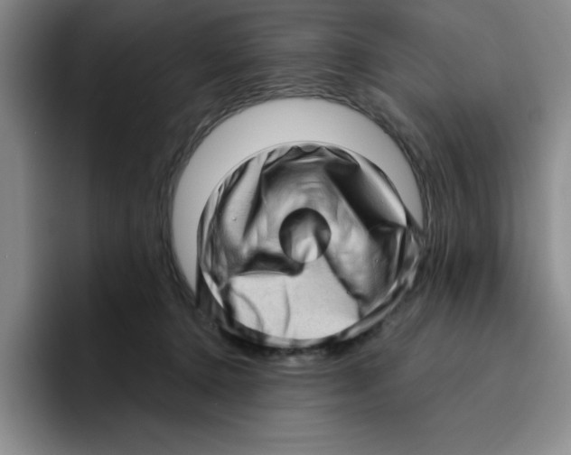 X0000096410368200802211230