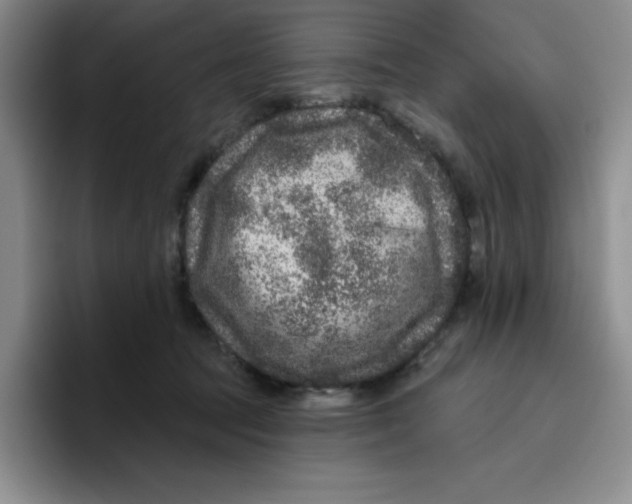 X0000096410369200802211230
