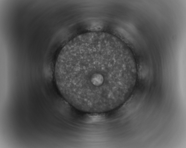 X0000096410370200802211230