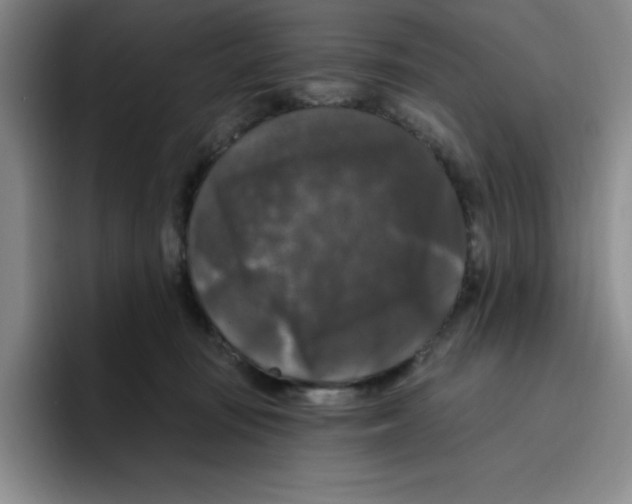 X0000096410371200802211230