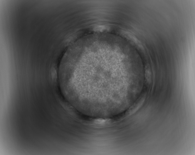 X0000096410375200802211230