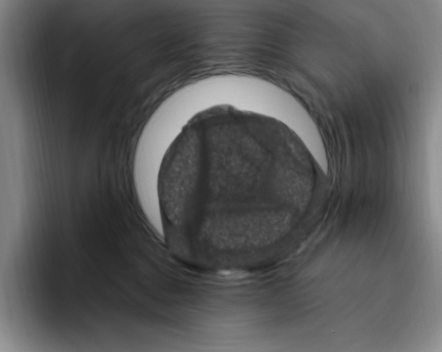 X0000096410376200802211230