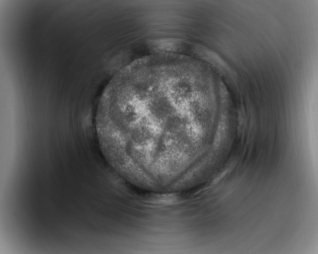 X0000096410377200802211230