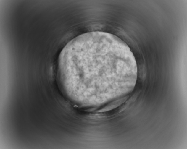 X0000096410378200802211230