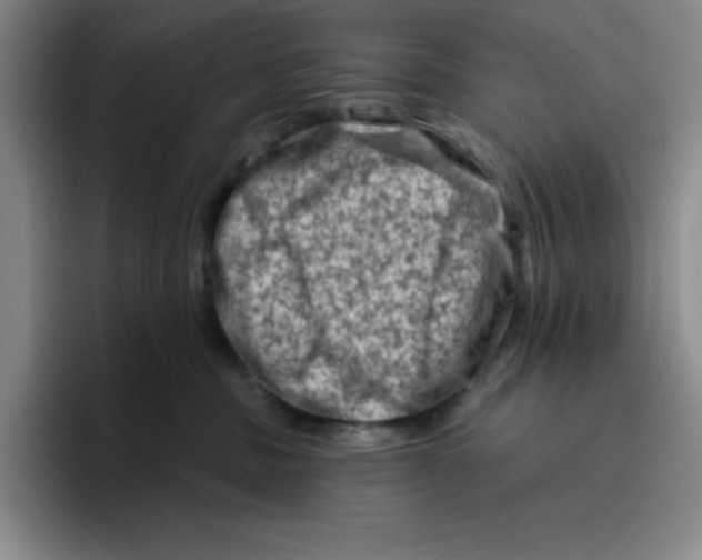 X0000096410379200802211230