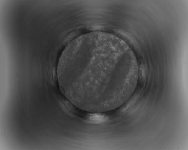 X0000096410380200802211230