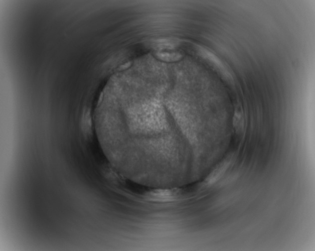 X0000096410381200802211231