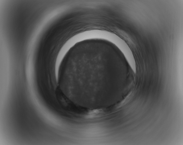 X0000096410382200802211231