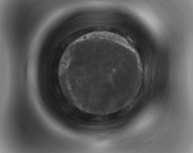 X0000096410383200802211231