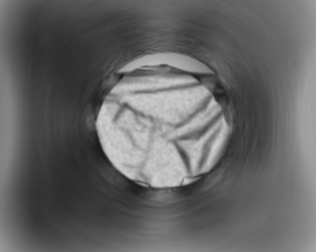 X0000096410384200802211231