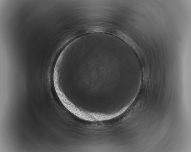 X0000096410386200802211230