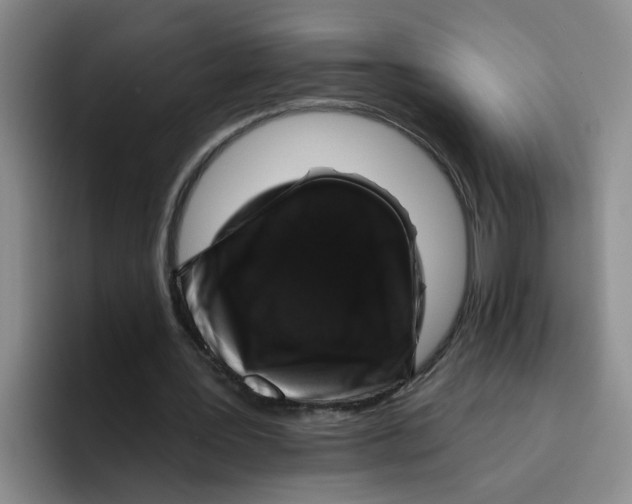 X0000096410387200802211230