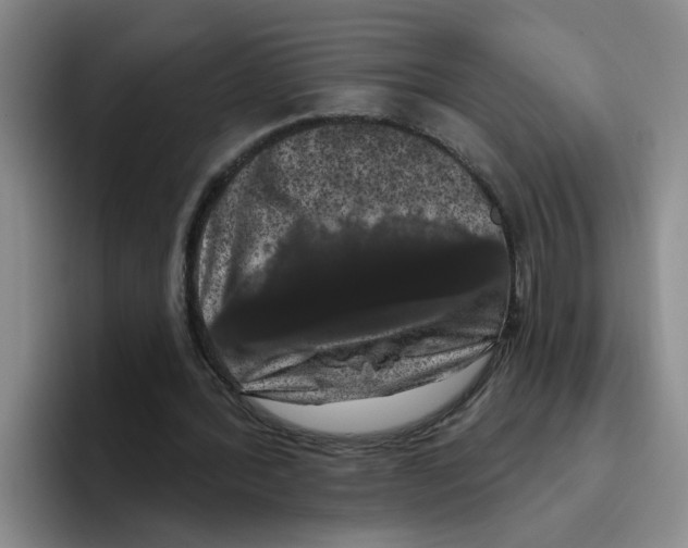 X0000096410388200802211230