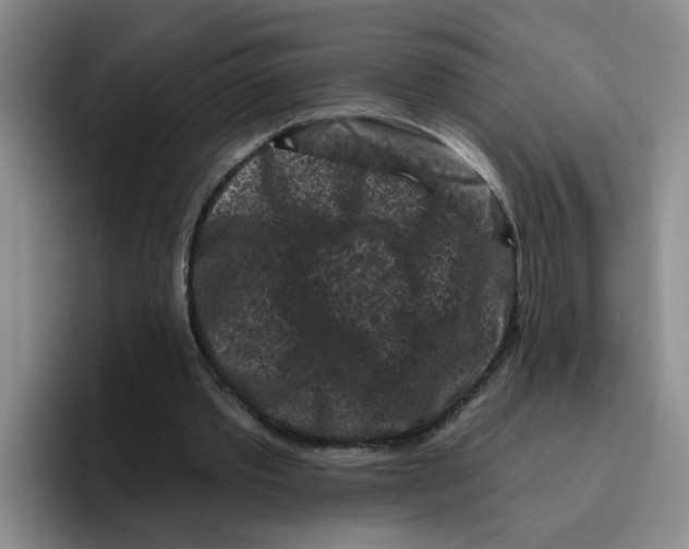 X0000096410389200802211230