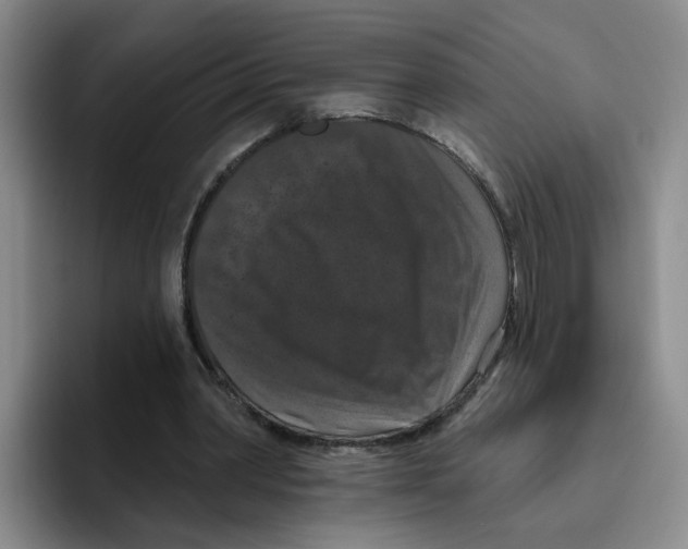 X0000096410390200802211230