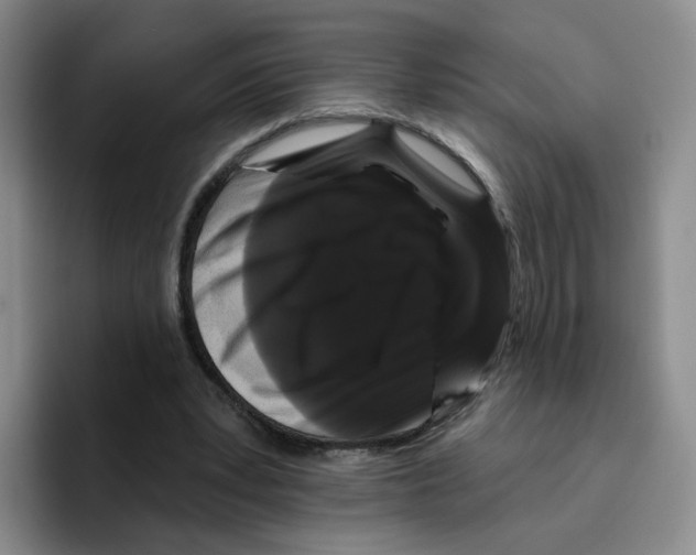 X0000096410391200802211230
