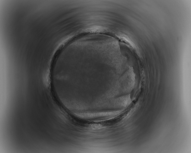 X0000096410392200802211230