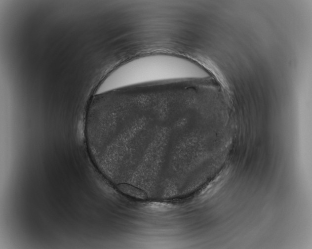 X0000096410393200802211230