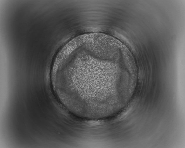 X0000096410394200802211230