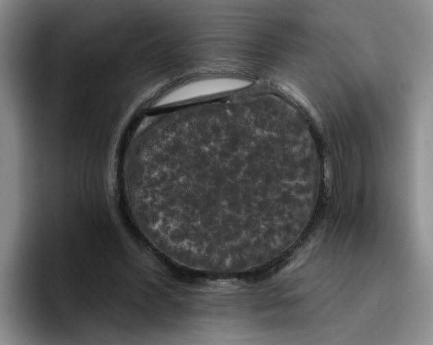 X0000096410396200802211230