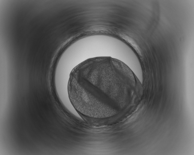 X0000096410399200802211230