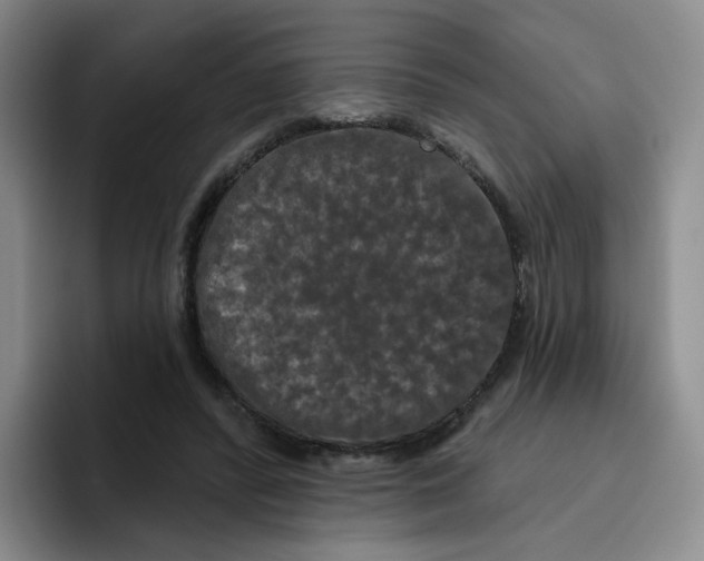 X0000096410400200802211230