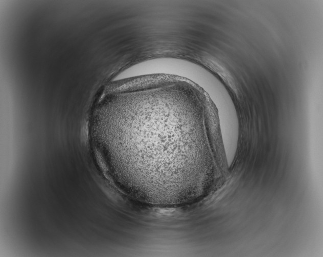 X0000096410401200802211230