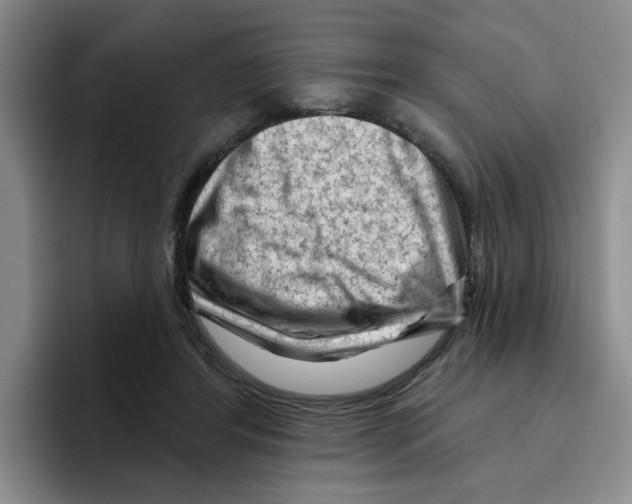 X0000096410404200802211230
