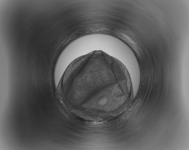 X0000096410405200802211230