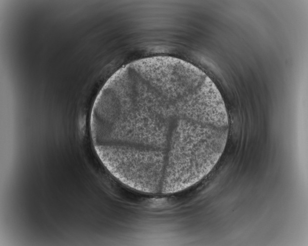 X0000096410406200802211230