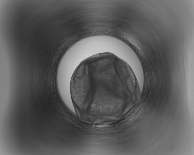 X0000096410407200802211230