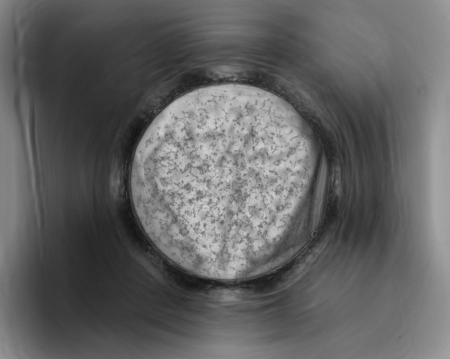 X0000096410408200802211230