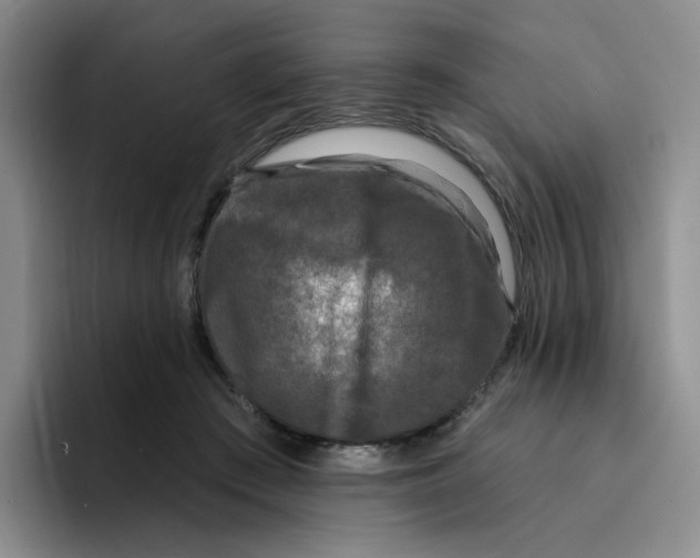X0000096410409200802211230