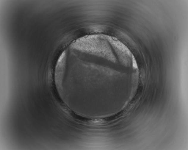 X0000096410410200802211230