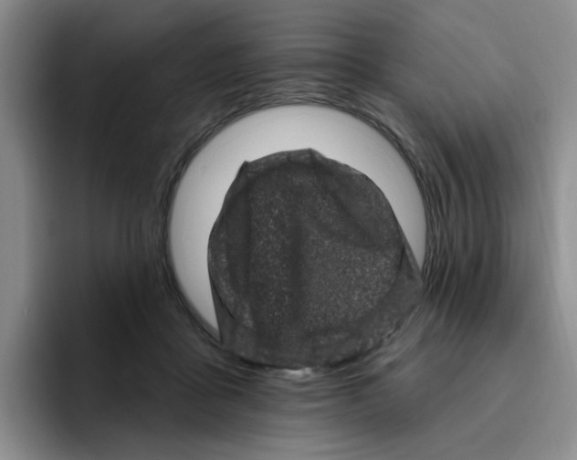 X0000096410411200802211229