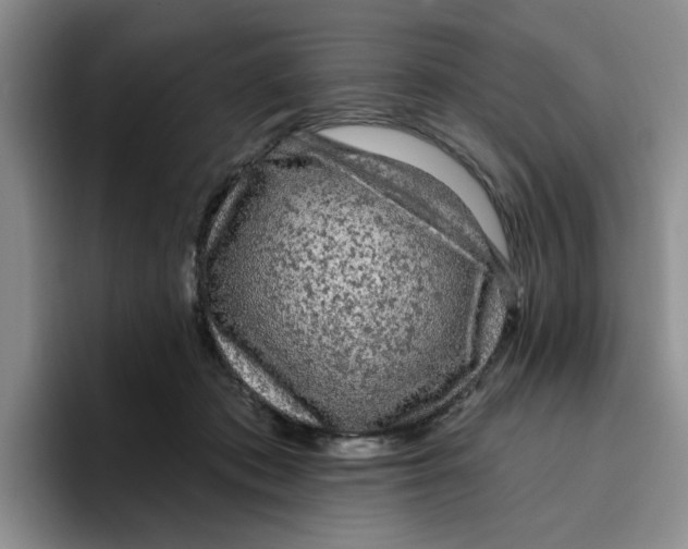 X0000096410413200802211229