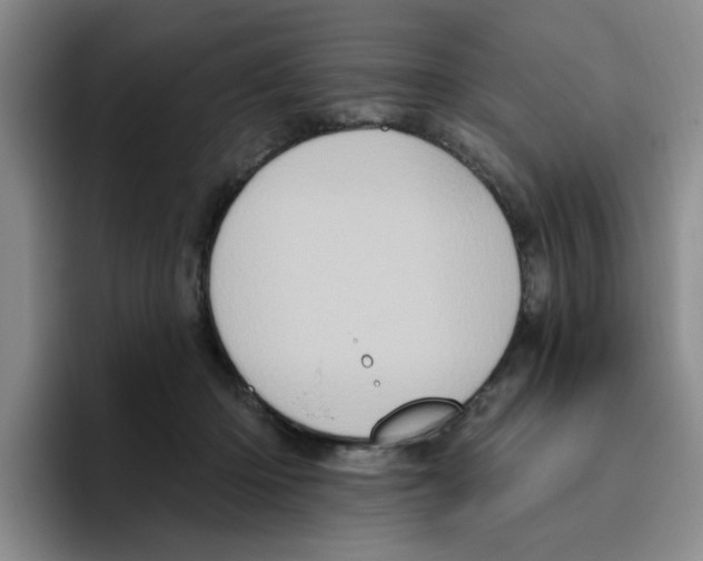 X0000096410414200802211229