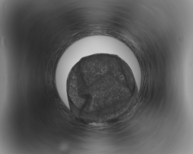 X0000096410417200802211229