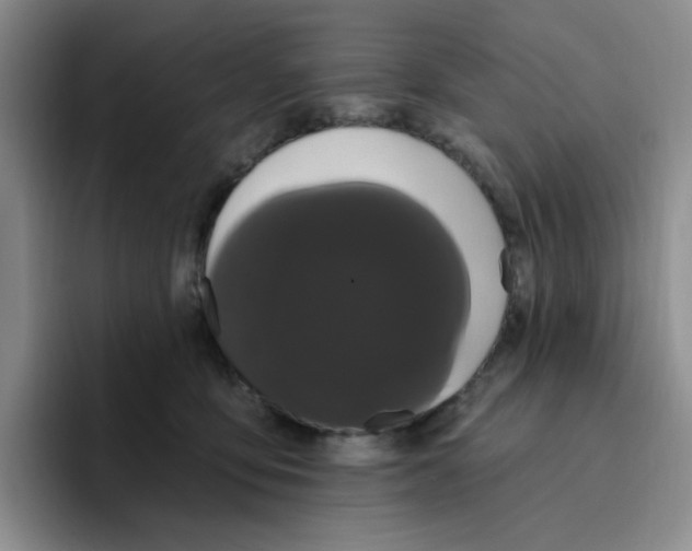 X0000096410419200802211229