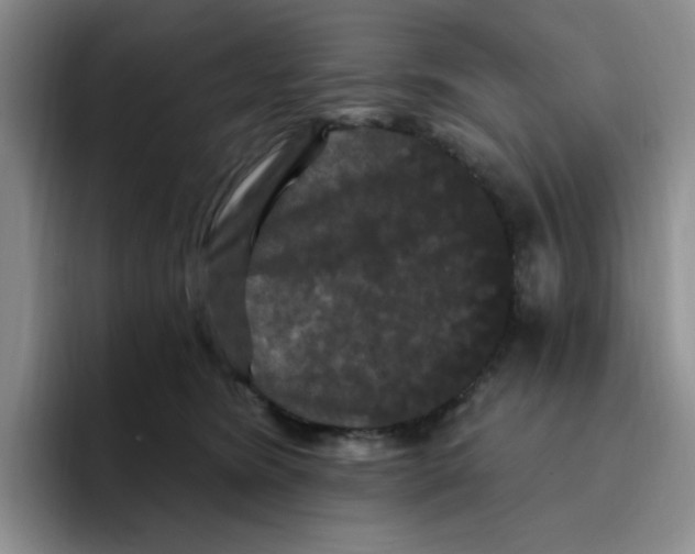 X0000096410420200802211229