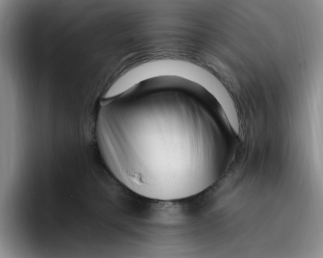 X0000096410421200802211229