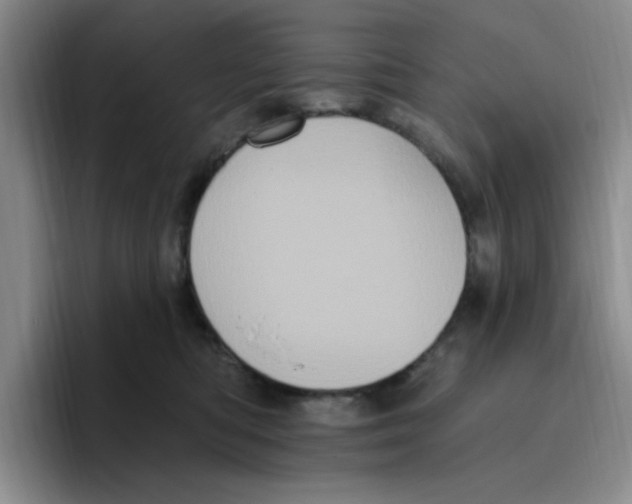 X0000096410422200802211229