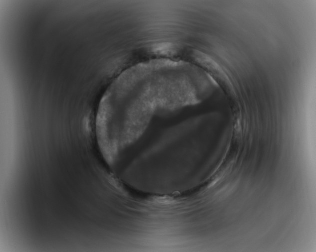 X0000096410424200802211229