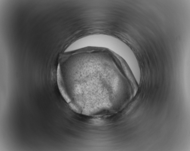 X0000096410425200802211229