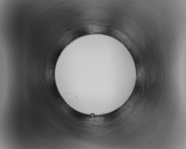 X0000096410426200802211229