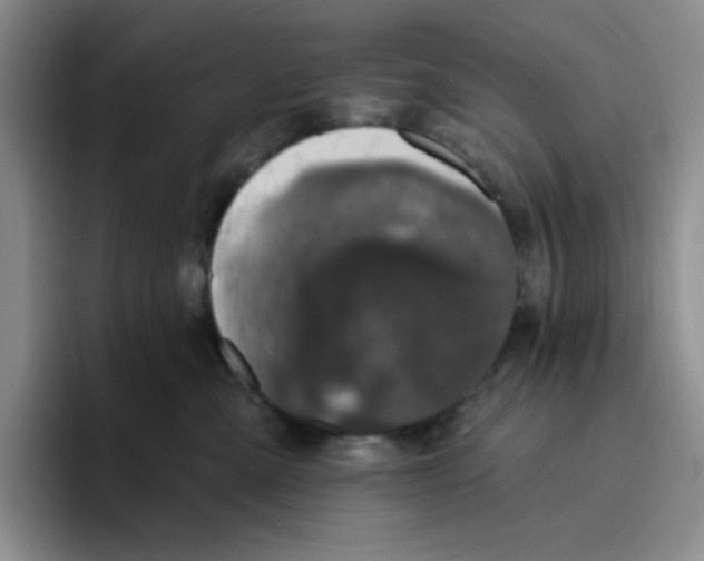 X0000096410427200802211229