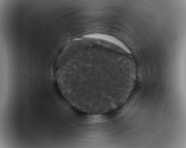 X0000096410428200802211229