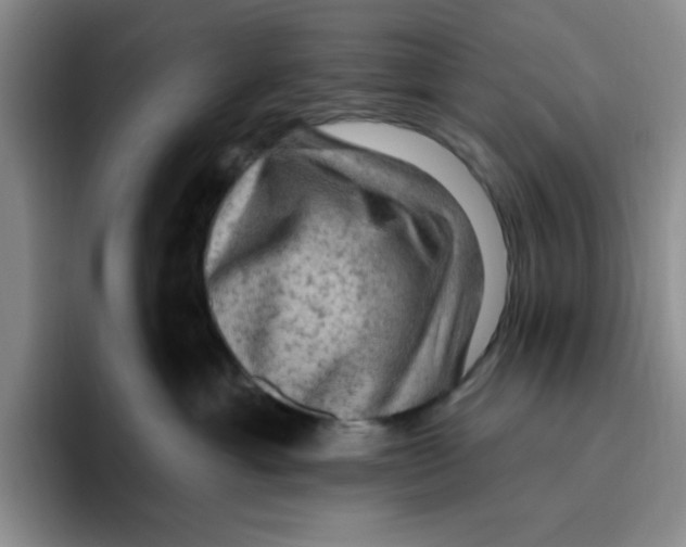 X0000096410429200802211229